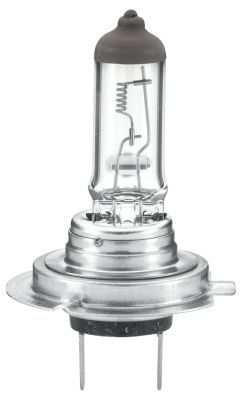 HELLA Scheinw.Lampe 24V