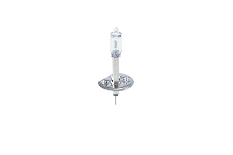 Glühlampe     24V