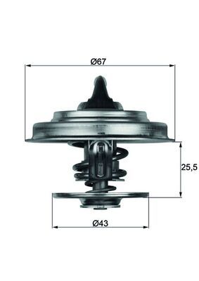 Thermostat mit Dichtung TX 18 83D TX 18 83D