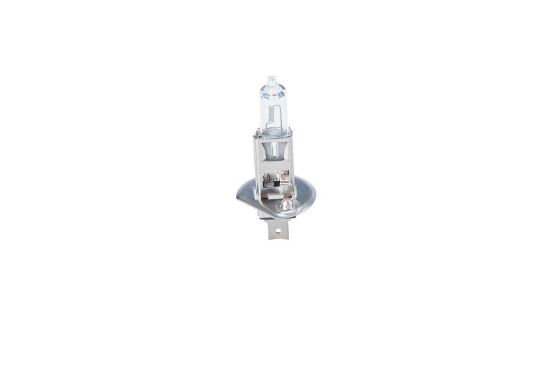 Glühlampe     24V