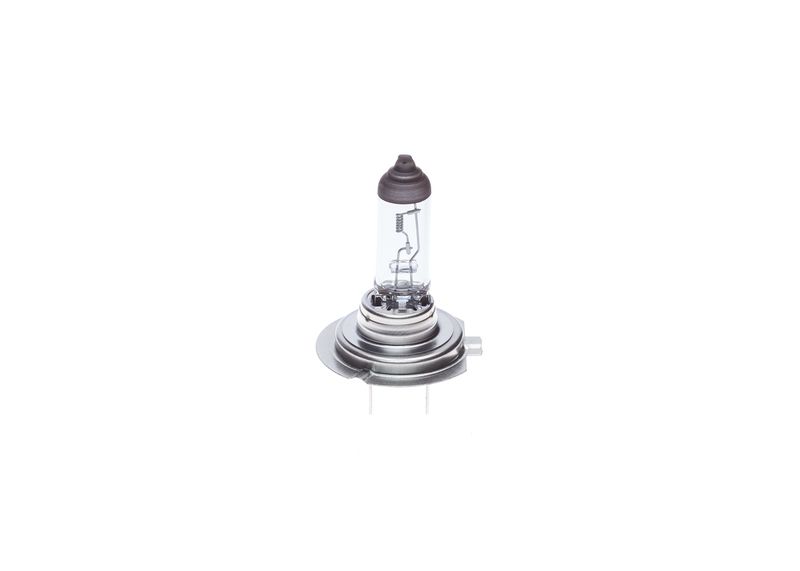 Glühlampe     24V