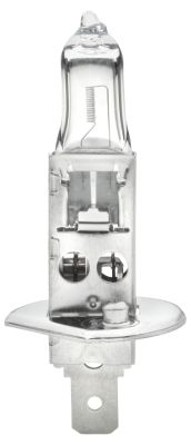 HELLA Scheinw.Lampe 12V
