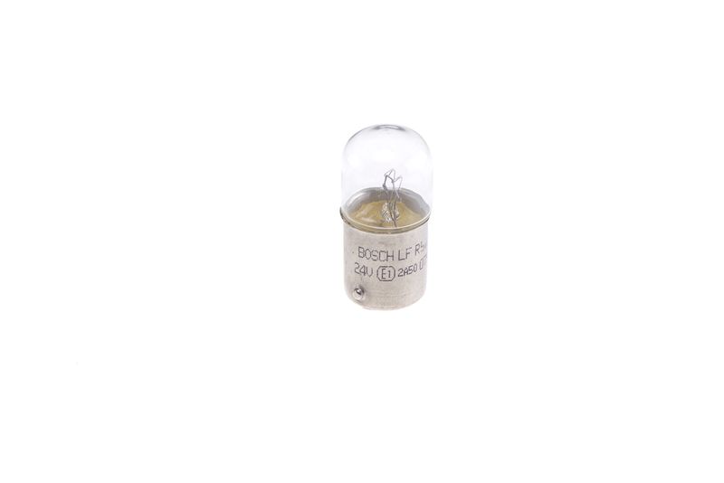 Glühlampe     24V