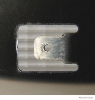 Innenraumleuchte P21W